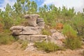 Rock formation surrounded by pine trees and shrubs  in the mountains of Geres Royalty Free Stock Photo