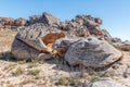 Rock formation on the trail from Cracks to Wolfberg Arch Royalty Free Stock Photo