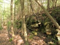 Rock Formations along Nemo Trail2