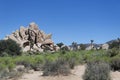 Joshua Tree National Park California Hidden Valley Trail Landscape