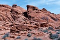 Rock formations and bushes at stone desert at Valley of Fire State Park Royalty Free Stock Photo