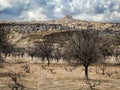 Rock formations in Cappadocia, Uchisar town