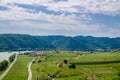 Vineyards in Lower Austria Royalty Free Stock Photo