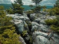 Rock formations covered with lush greenery. Dolly Sods, West Virginia. Royalty Free Stock Photo