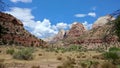 Rock Formations and Landscape at Zion National Park