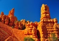 Rock formations in red canyon park in Utah. Royalty Free Stock Photo