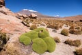 Rock formations at Salar de Uyuni, Bolivia Royalty Free Stock Photo