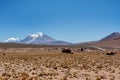 Rock formations at Salar de Uyuni, Bolivia Royalty Free Stock Photo