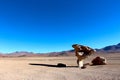 Rock formations on the Salar de Uyuni desert Royalty Free Stock Photo