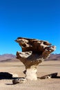 Rock formations on the Salar de Uyuni desert Royalty Free Stock Photo