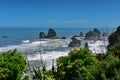 Rock formations and scenic landscape at Motukiekie Beach in New Zealand Royalty Free Stock Photo