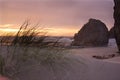 Rock formations at sunset on the southern Oregon coast. Royalty Free Stock Photo