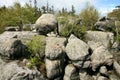 Rock formations in Szczeliniec Wielki in the Stolowe Mountains, the Sudeten range in Poland.