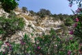 Rock forms and forest scenery