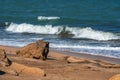 Rock fragments on sandy beach