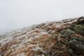 Rock on frozen mountains with fog on horizon Royalty Free Stock Photo