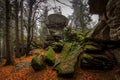 Rock full of moss in the colorful autumn forest near Zkamenely zamek