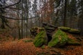 Rock full of moss in the colorful autumn forest near Zkamenely zamek