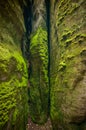 A rock gap, sandstone rocks overgrown with green moss