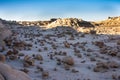 The Rock Garden at Bisti Badlands Wilderness Area New Mexico