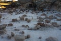 The Rock Garden at Bisti Badlands Wilderness Area New Mexico