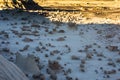 The Rock Garden at Bisti Badlands Wilderness Area New Mexico