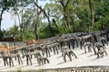 Cattle at the Rock Garden