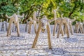 The Rock Garden of Chandigarh is a sculpture garden in Chandigarh, India.