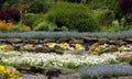 Rock garden with flowering perennials