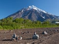 Rock garden at the foot of the volcano Royalty Free Stock Photo