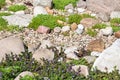 Rock garden. gardener backyard design element Royalty Free Stock Photo