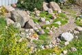 Rock garden. gardener backyard design element Royalty Free Stock Photo