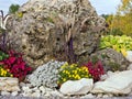 Small Rock Garden Royalty Free Stock Photo