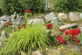 Rock garden with solar lamp Royalty Free Stock Photo