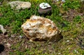 Rock garden treasures features rock filled with crystals