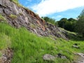 Rock, green grass, blue sky, green trees