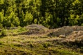 Rock Ground Forest In Marmara Region - Turkey