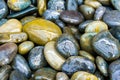 Colorful Wet Rocks Royalty Free Stock Photo