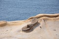 A rock having a shape of Fairy Shoe in Yehliu Geopark in a cape in Wanli District, New Taipei, Taiwan. Royalty Free Stock Photo