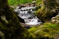 A rock hiding the streams