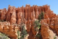 Rock Hoodoos in Bryce Canyon National Park in Utah Royalty Free Stock Photo