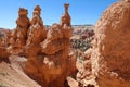 Rock Hoodoos in Bryce Canyon National Park in Utah Royalty Free Stock Photo