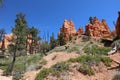 Rock Hoodoos in Bryce Canyon National Park in Utah Royalty Free Stock Photo