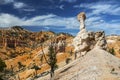 Rock Hoodoos Desert Landscape Bryce Canyon Hiking Utah Royalty Free Stock Photo