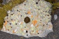 A rock in Iceland covered in lichens and mosses