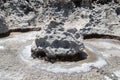 Rock inside natural salt pans/puddles near missing Azure Window in island Gozo, Malta. Royalty Free Stock Photo