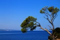 Rock island in Brela,Croatia Royalty Free Stock Photo