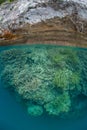 Rock Island and Coral Reef in Palau`s Calm Lagoon Royalty Free Stock Photo