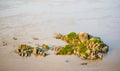 Rock island in mekong river