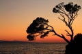 Rock island at sunset in Brela,Croatia Royalty Free Stock Photo